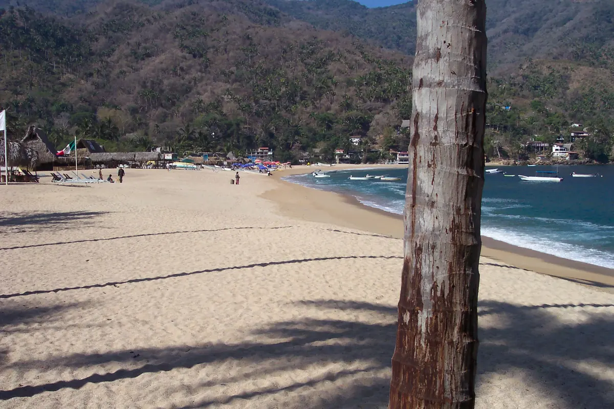 A wide pale beach with a palm trunk in the foreground and forested hills behind a small bay (Yelapa, a village near Las Caletas, not Las Caletas itself)